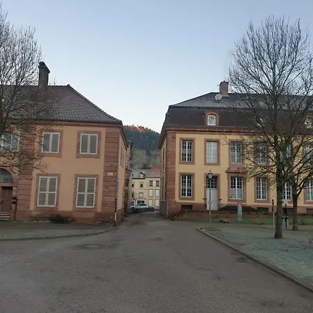 شقة Cocon Velo & Rando Au Coeur Des Vosges, Vue Chateau *