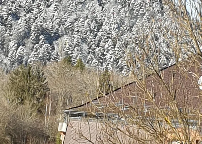 Appartement cosy 70m2 Vue château 6 pers Nature&calme Vosges Apartamento