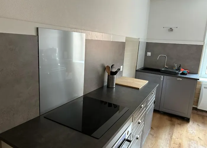 Appartement cosy 70m2 Vue château 6 pers Nature&calme Vosges Senones (Vosges)