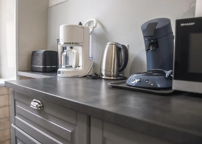 Appartement cosy 70m2 Vue château 6 pers Nature&calme Vosges * Senones (Vosges)