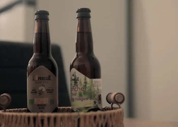 Appartement cosy 70m2 Vue château 6 pers Nature&calme Vosges Apartamento